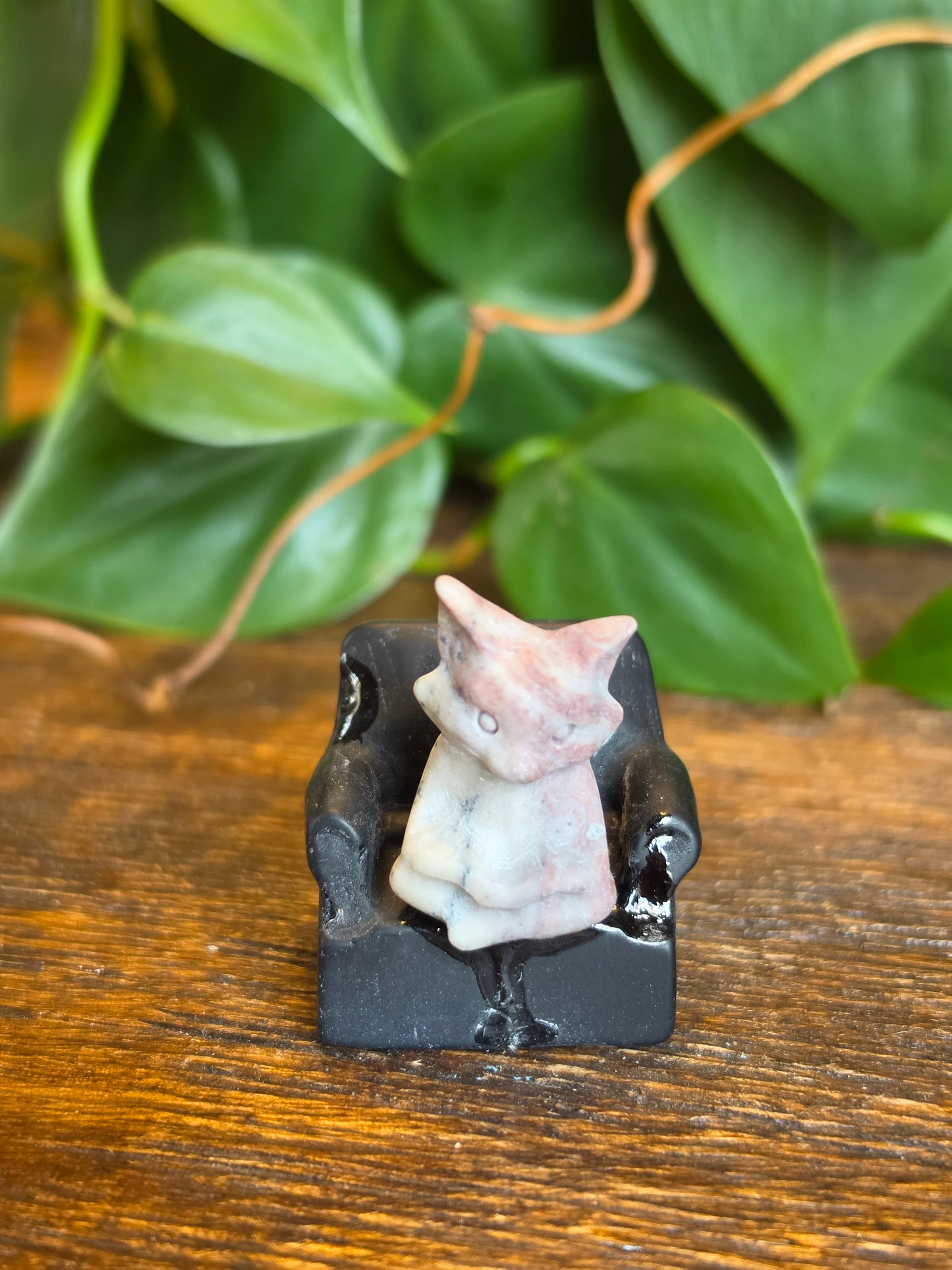 Picture Jasper Fox on an Obsidian Chair