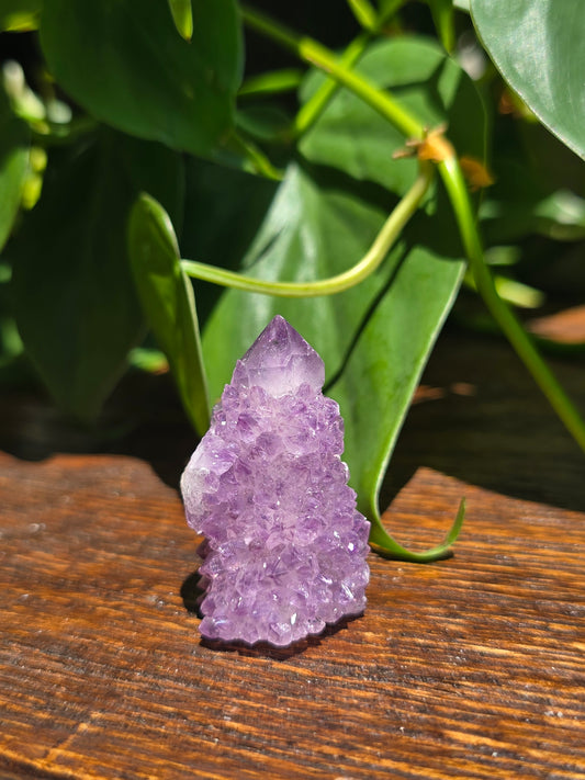 Amethyst Spirit Cactus Quartz Crystal Specimen "A"