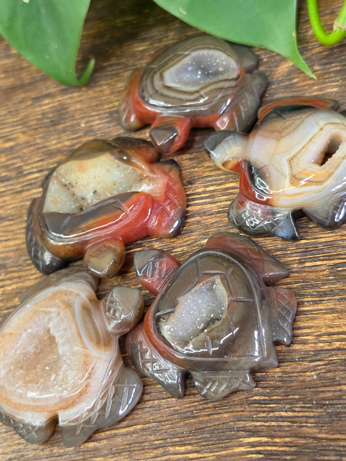 Agate Crystal Druzy Turtle Carving