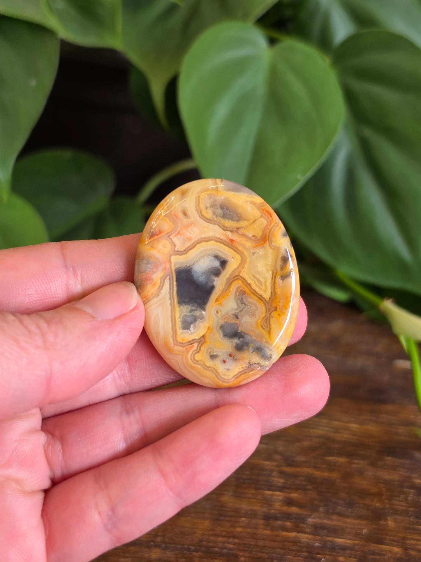 Mexican Crazy Lace Agate Crystal Worry Stone