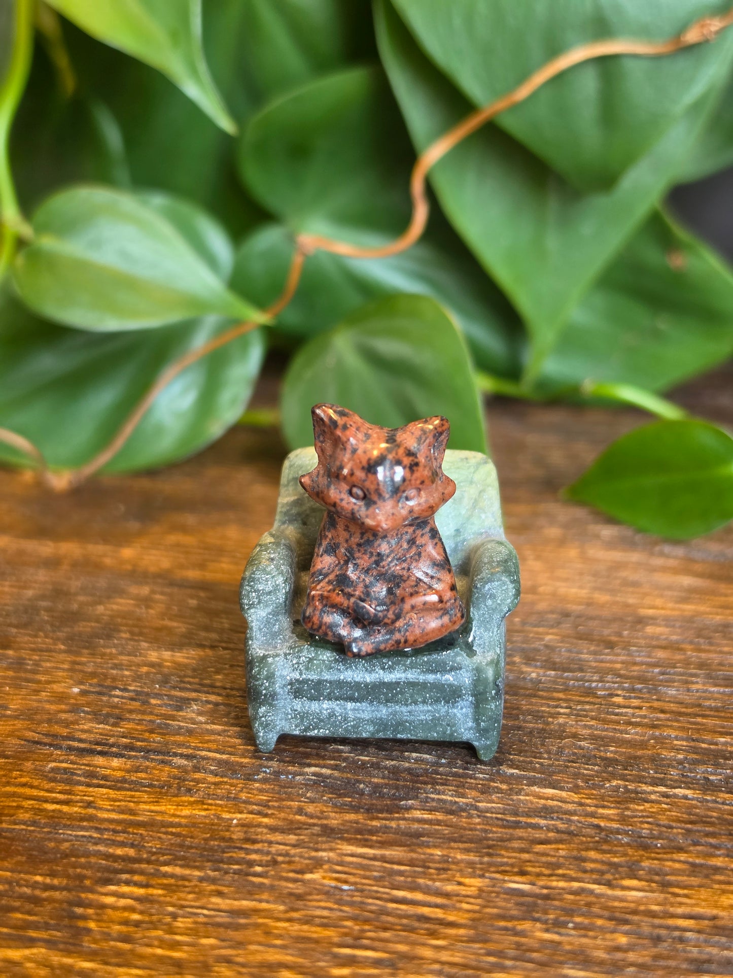 Mahogany Obsidian Fox on Serpentine Chair