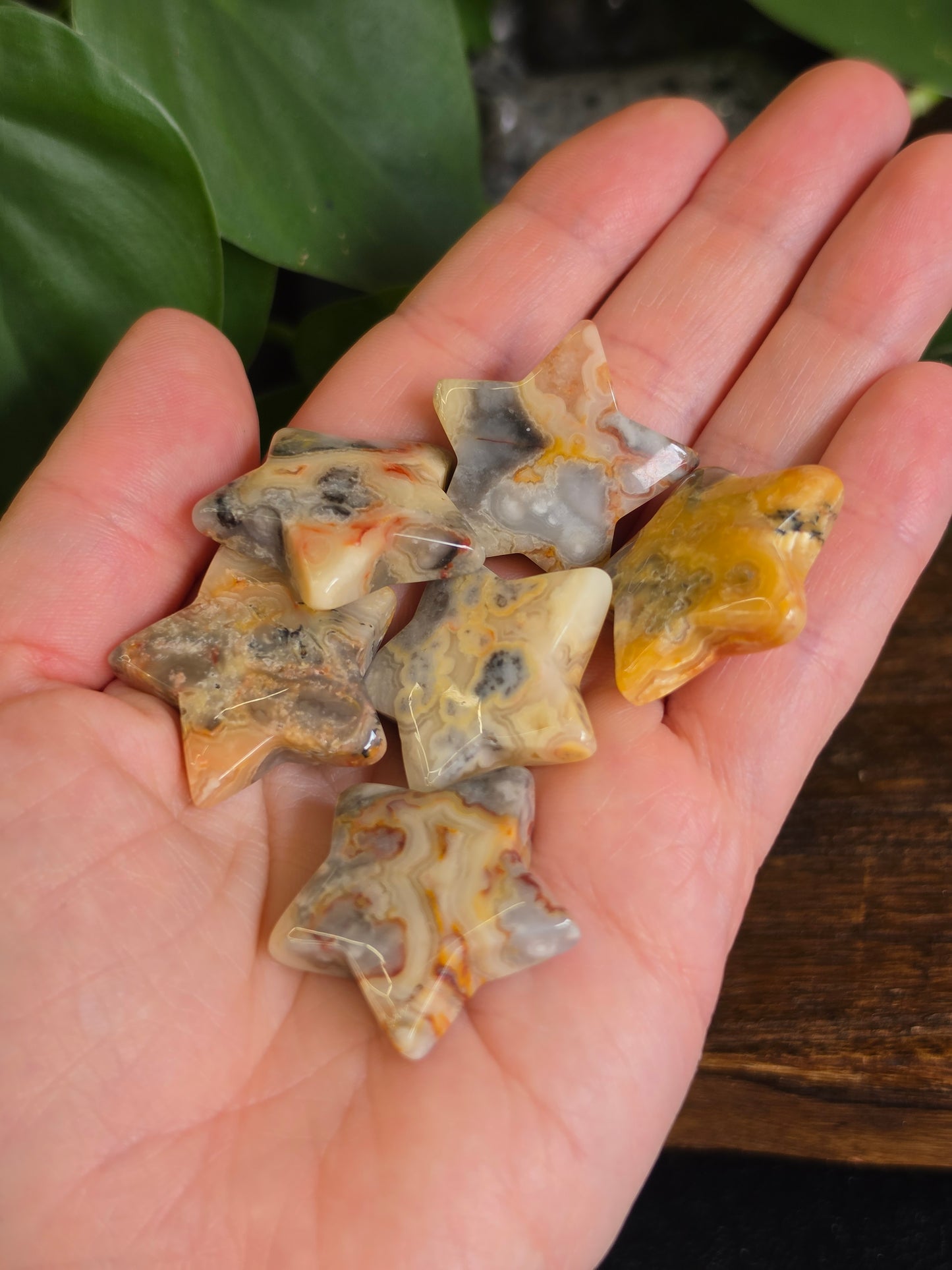 Crazy Lace Agate Crystal Star Carving (One Piece)