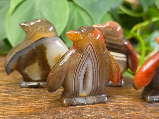 Agate Crystal Penguin Carving