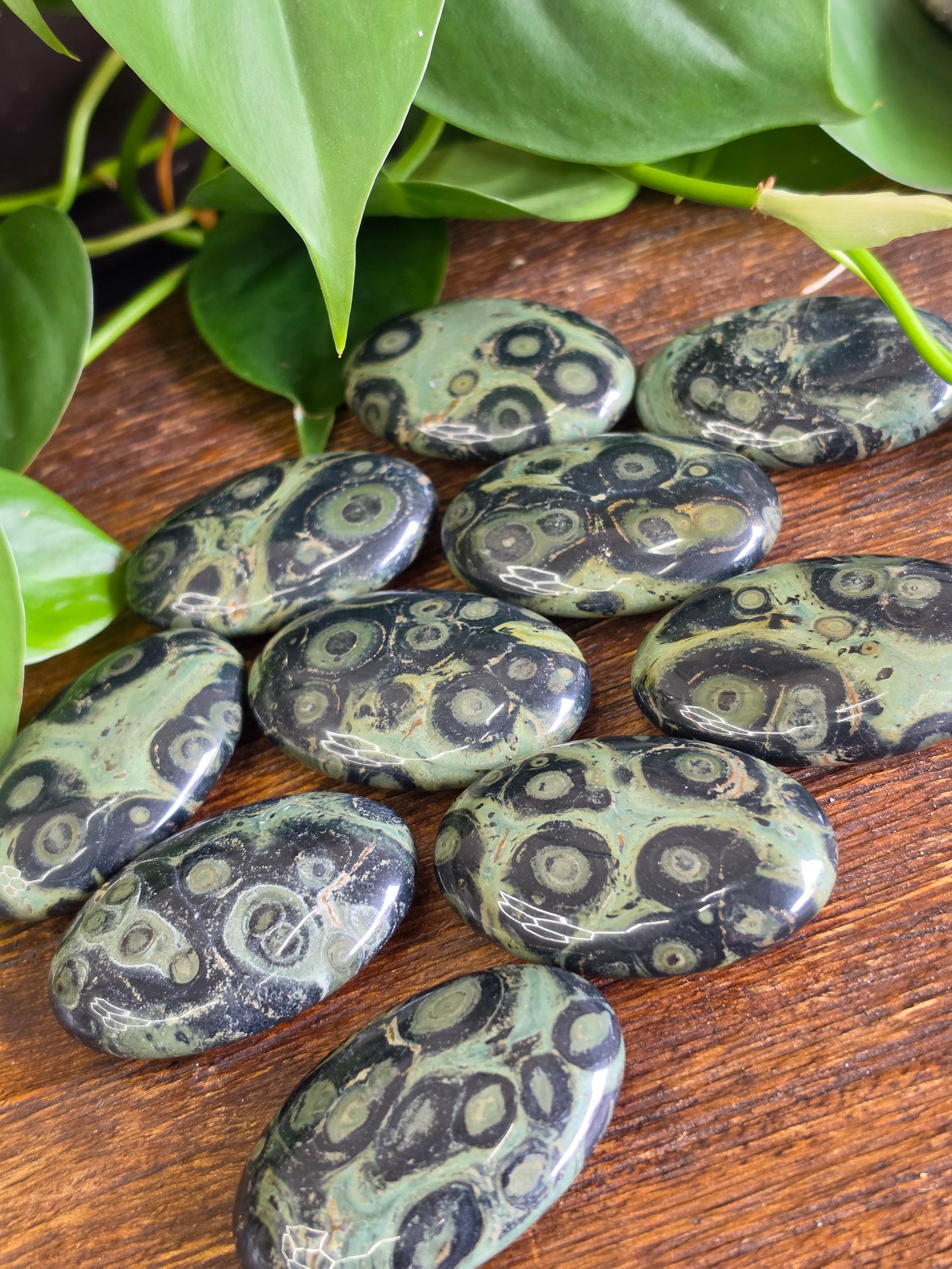 Kambaba Crystal Palm Stone (One Piece)