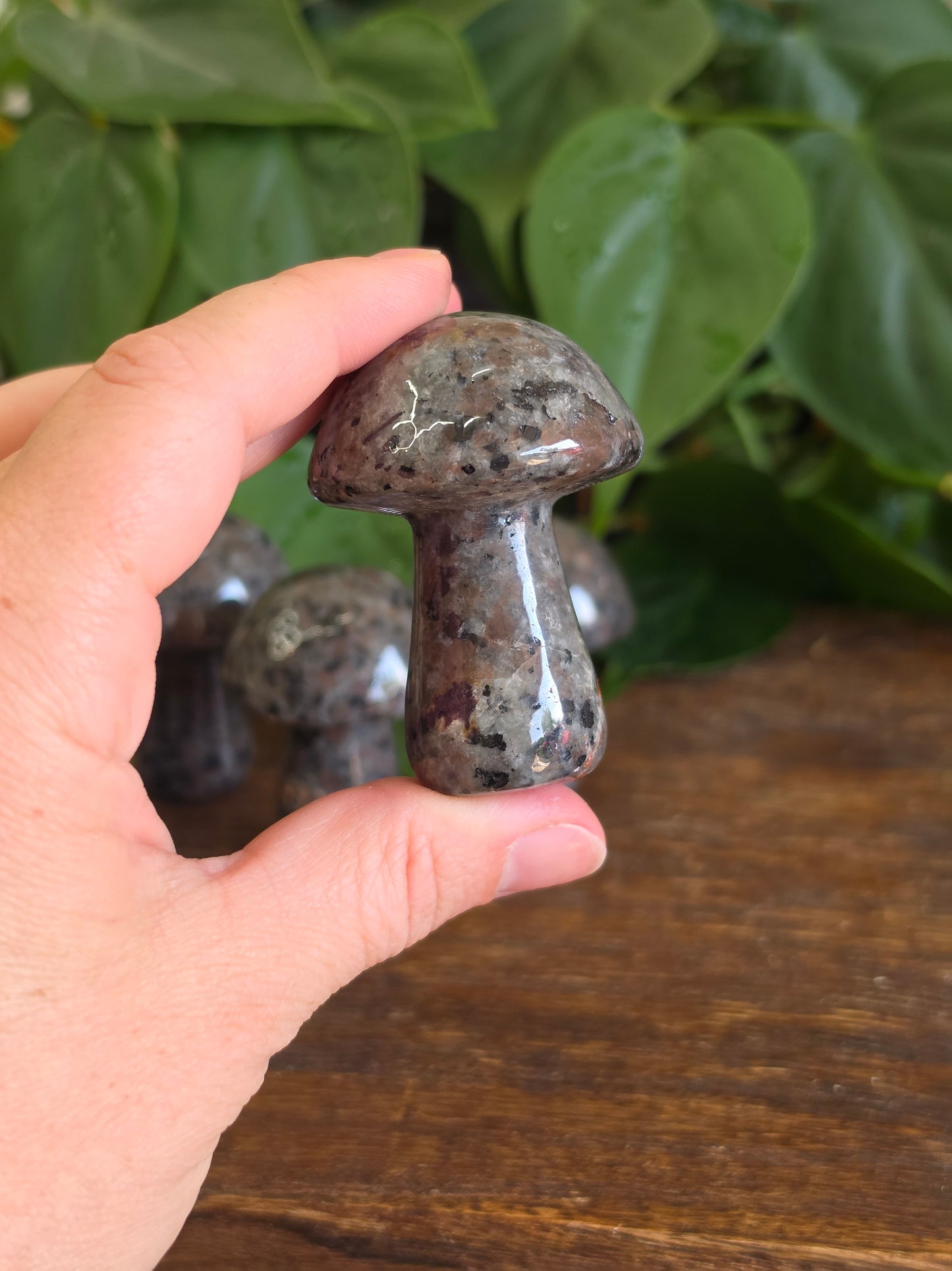 UV Reactive Sodalite Yooperlite Mushroom Carving (One Piece)