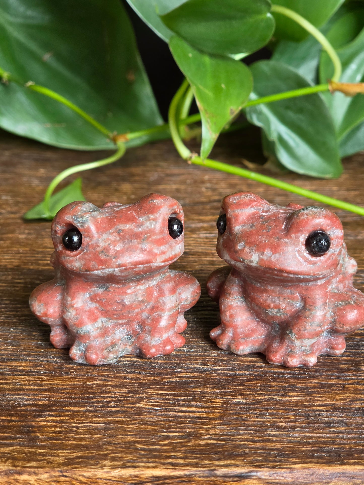Red Jasper Crystal Frog Carving (One Piece)