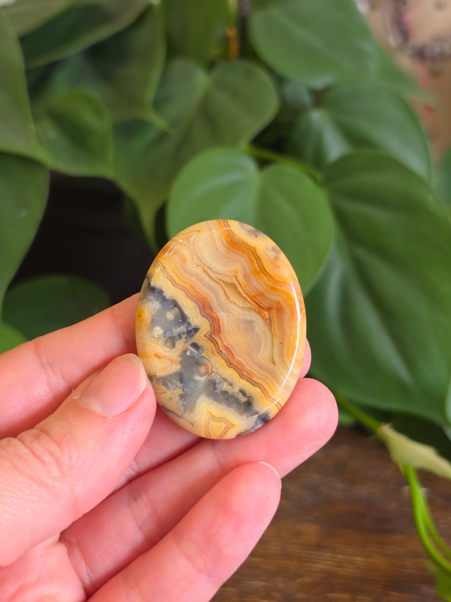Mexican Crazy Lace Agate Crystal Worry Stone