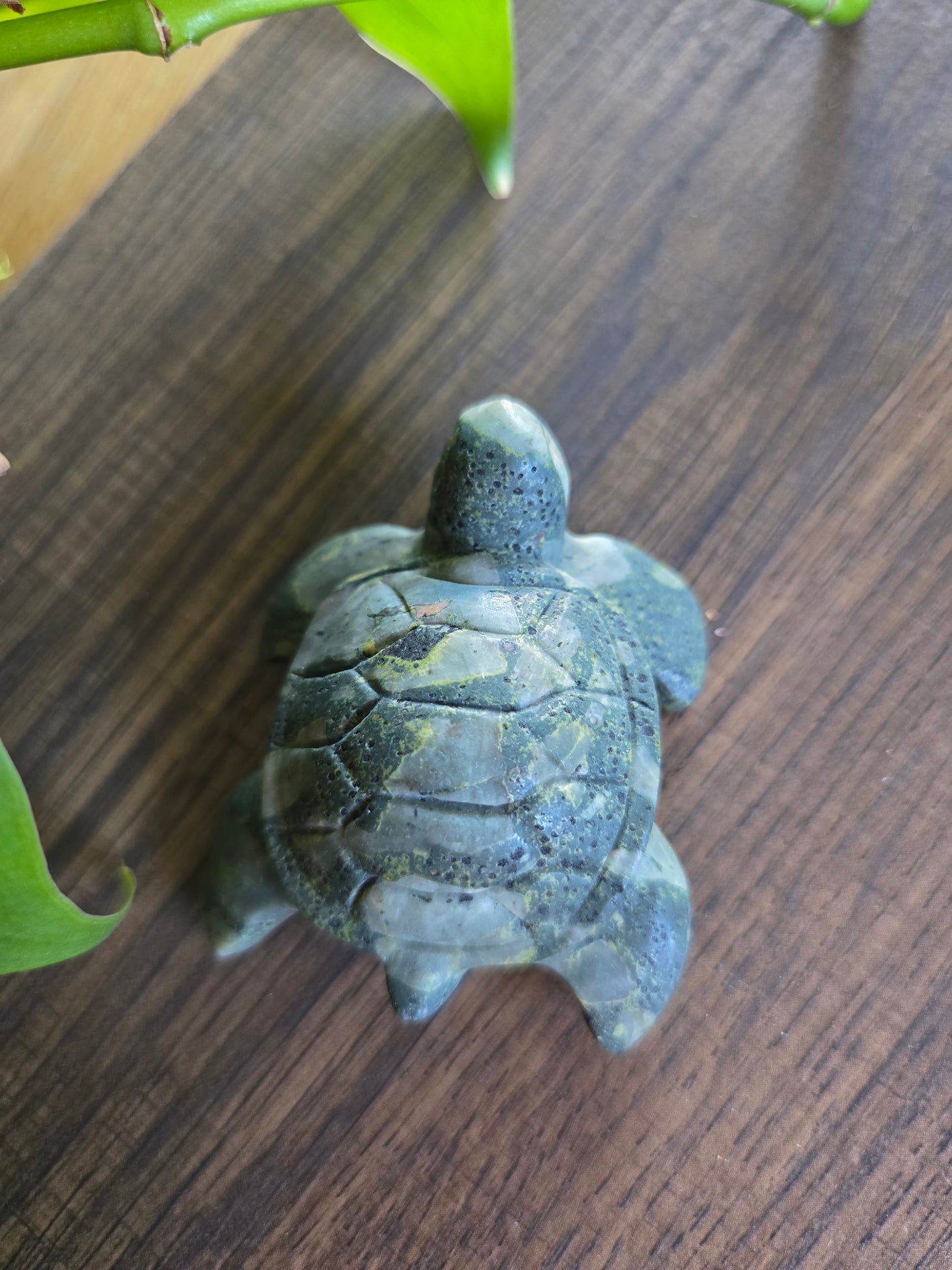 Que Sera Turtle Carving