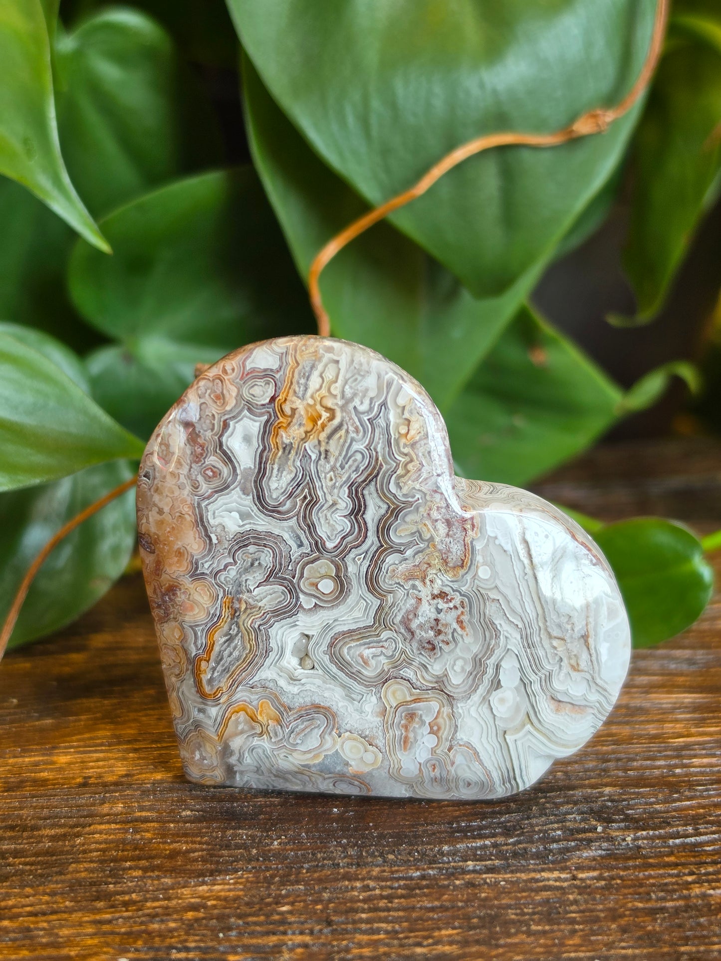 Mexican Crazy Lace Agate Crystal Heart Carving "E"
