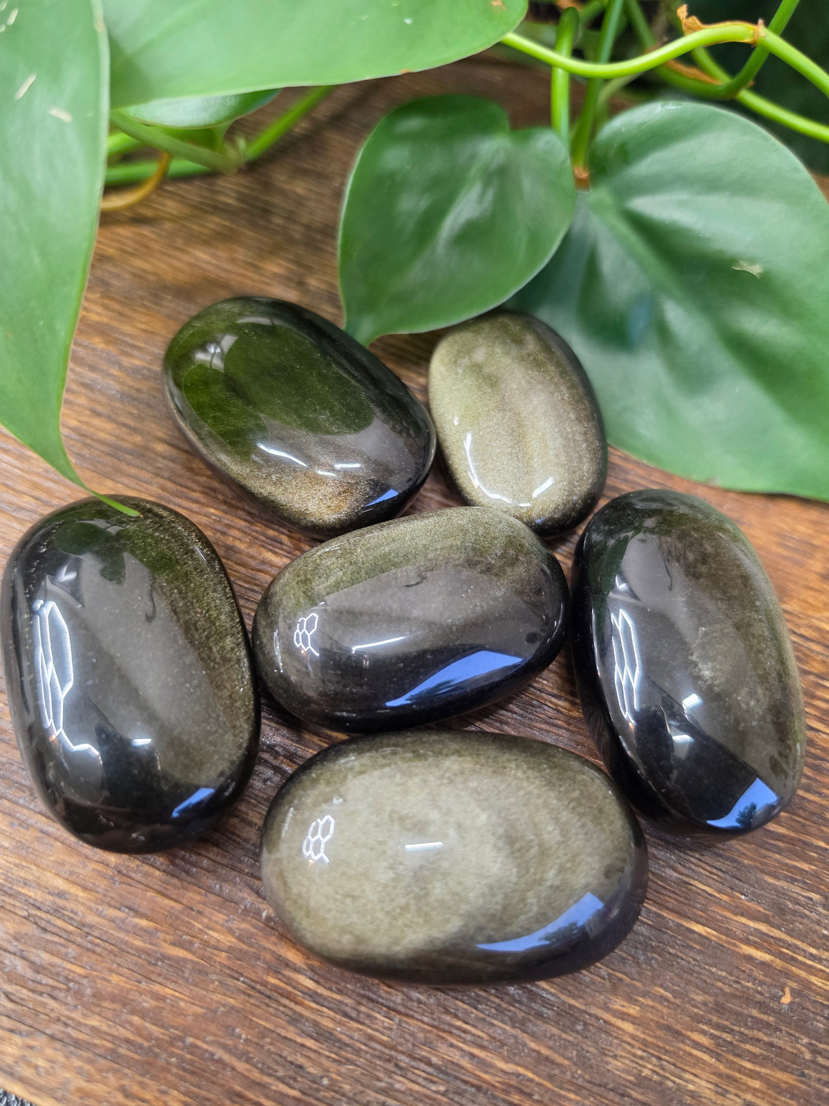 Gold Sheen Obsidian Crystal Palm Stone (One Piece)
