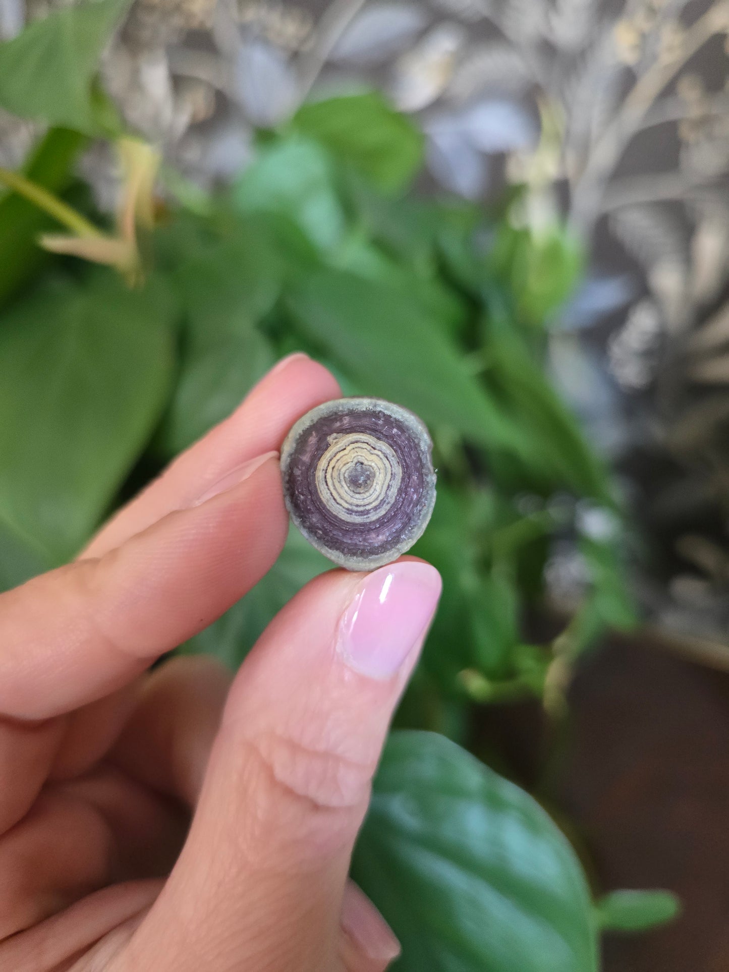 Natural Gobi Agate