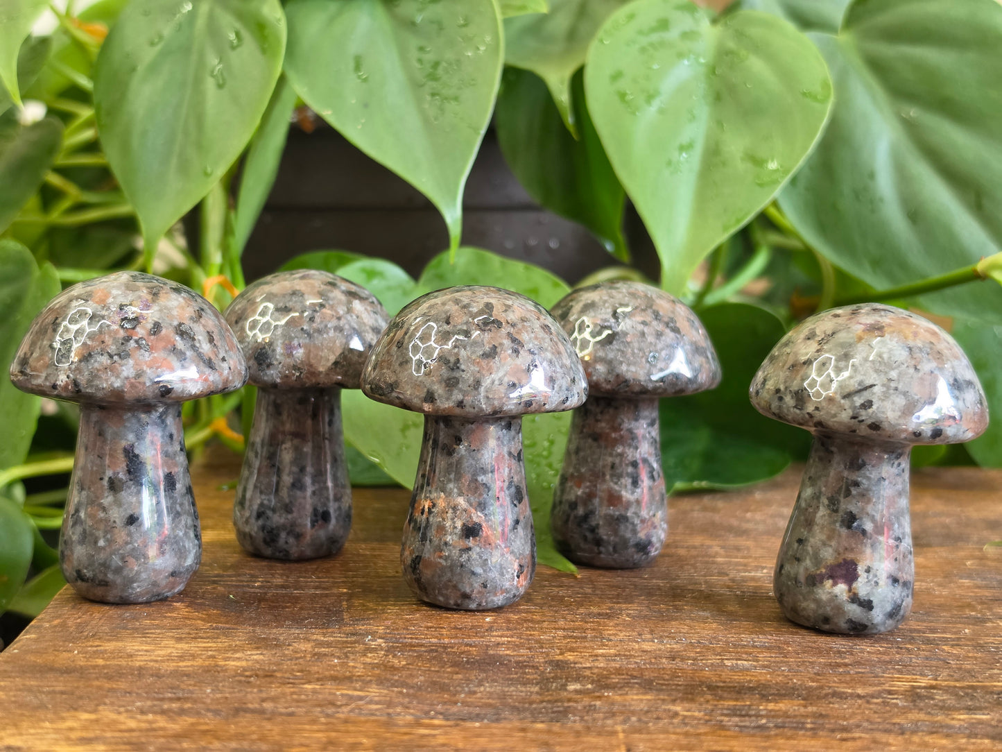 UV Reactive Sodalite Yooperlite Mushroom Carving (One Piece)