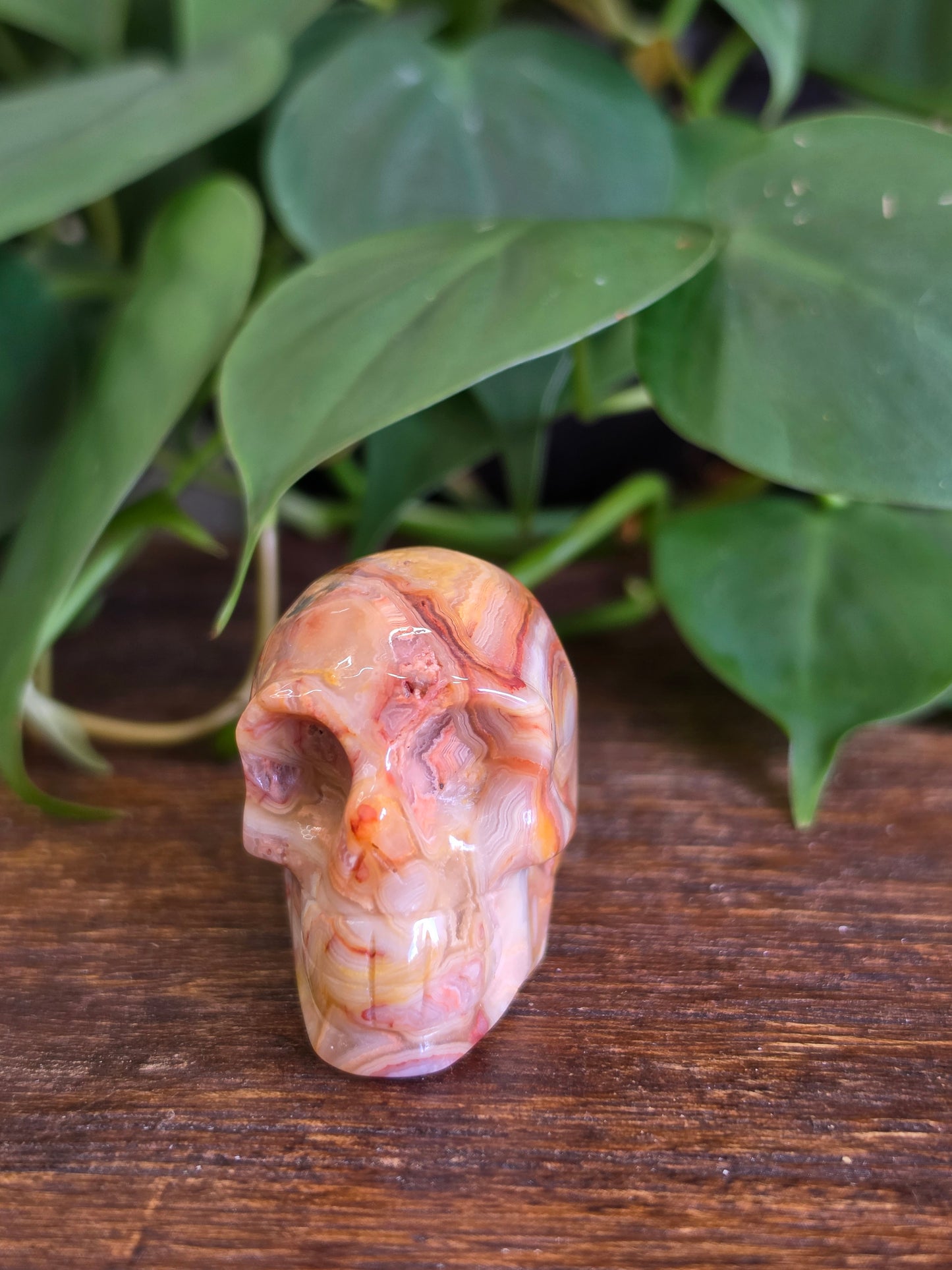 Mexican Crazy Lace Agate Crystal Skull