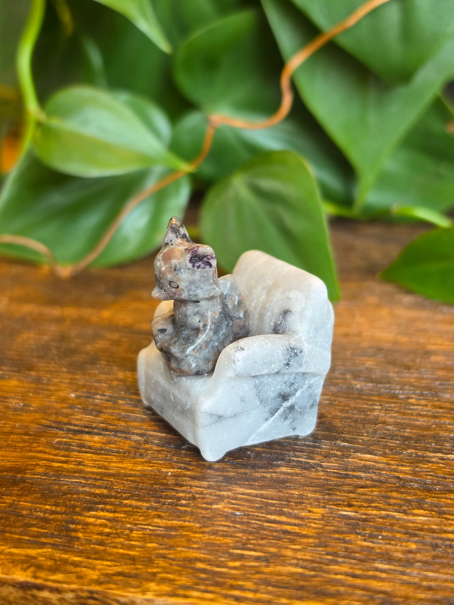 UV Sodalite Fox on a Zebra Stone Chair