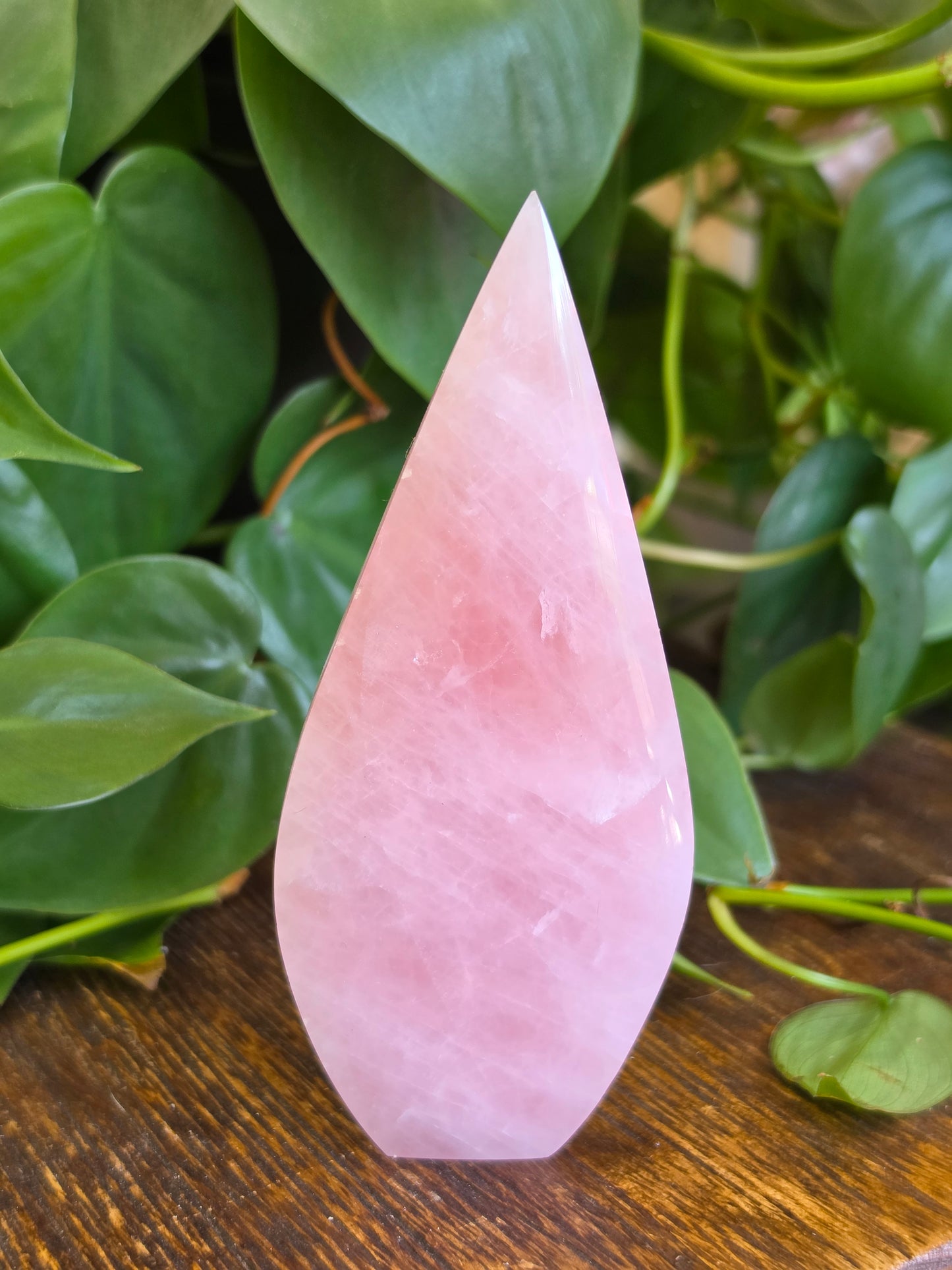 Rose Quartz Flipper Carving "A"