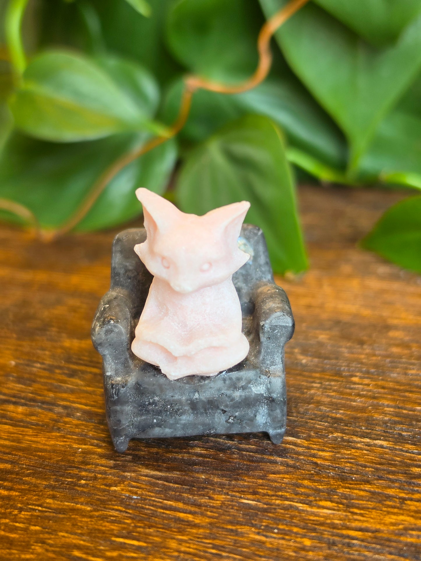 Pink Opal Fox on a Larvikite Chair