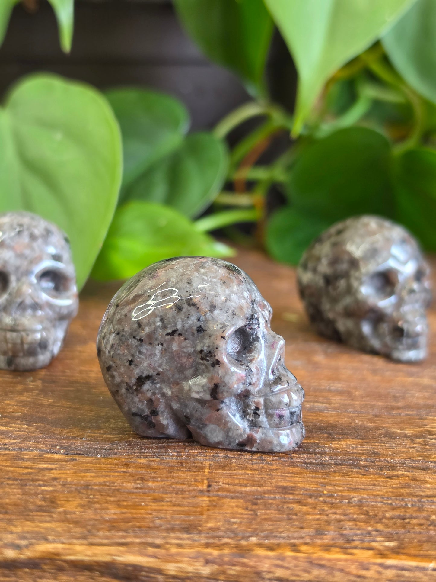 UV Reactive Sodalite Yooperlite Mini Skull Carving (One Piece)