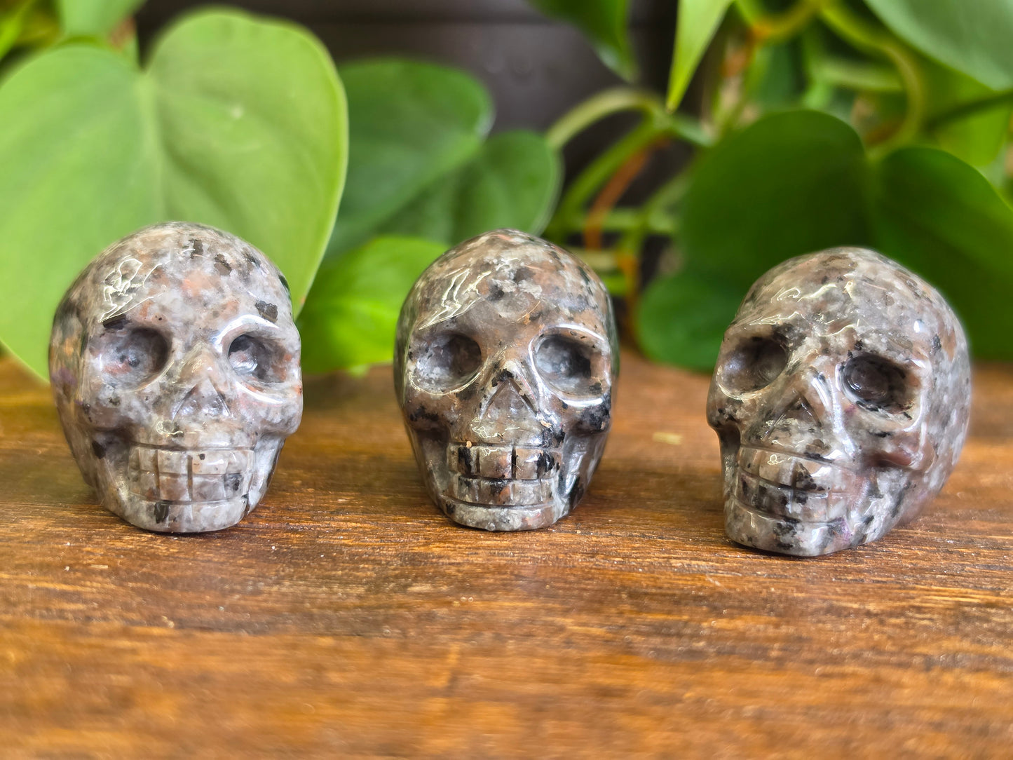 UV Reactive Sodalite Yooperlite Mini Skull Carving (One Piece)