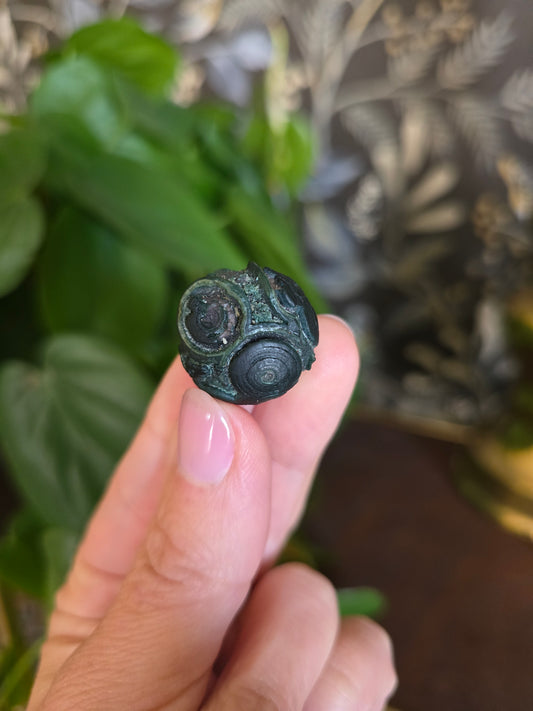 Natural Gobi Agate