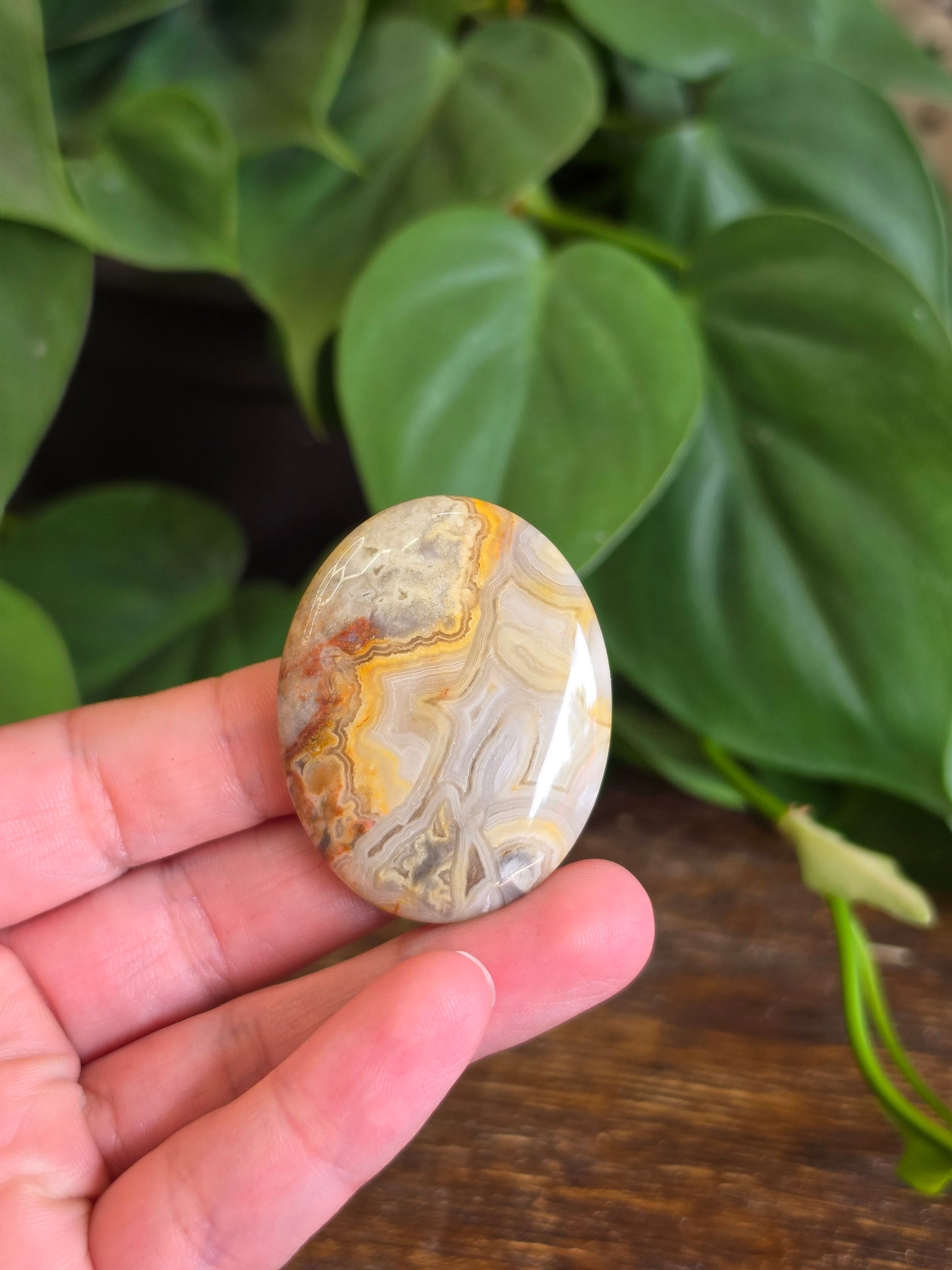 Mexican Crazy Lace Agate Crystal Worry Stone