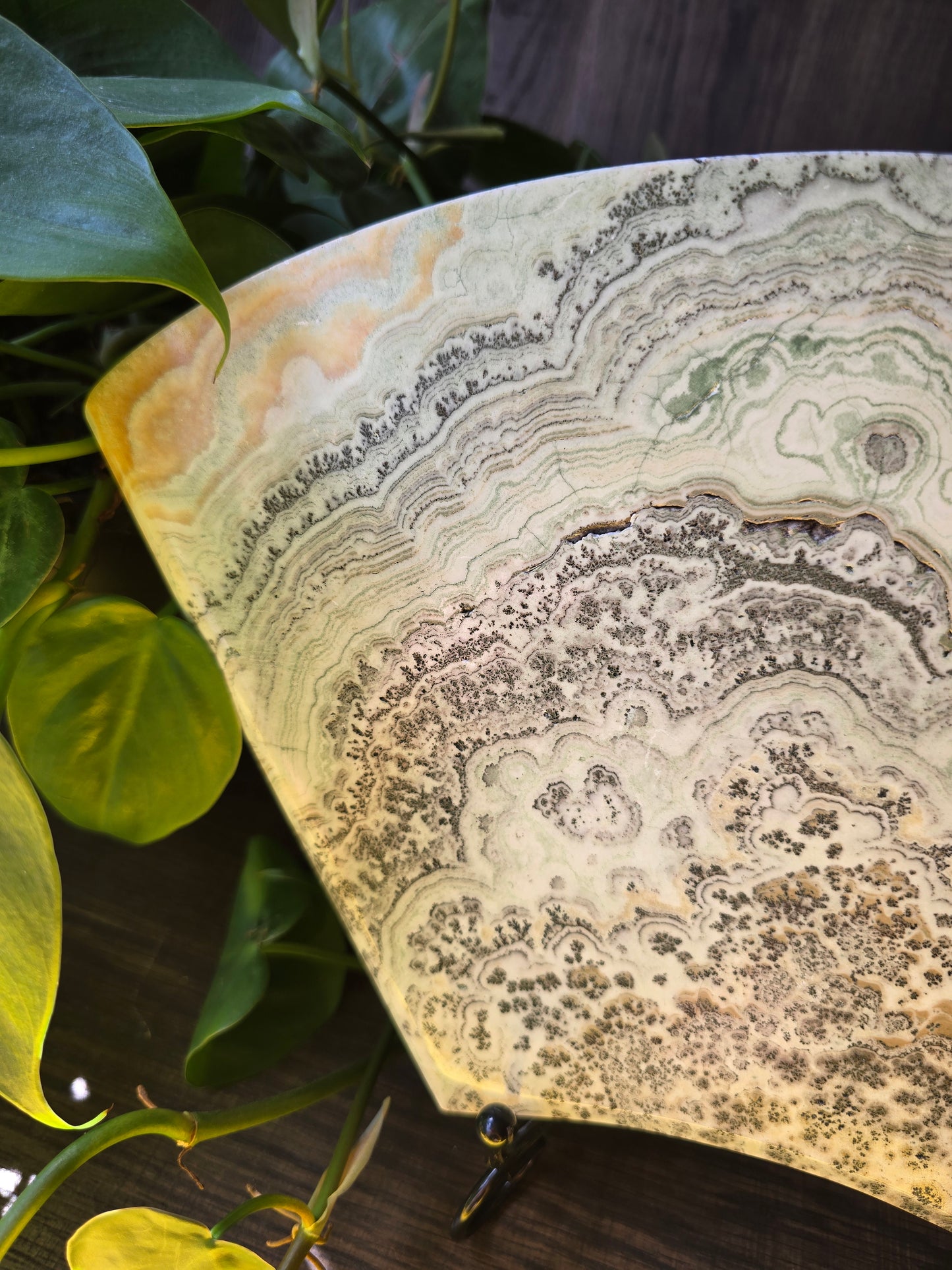 Dendritic Agate Slab