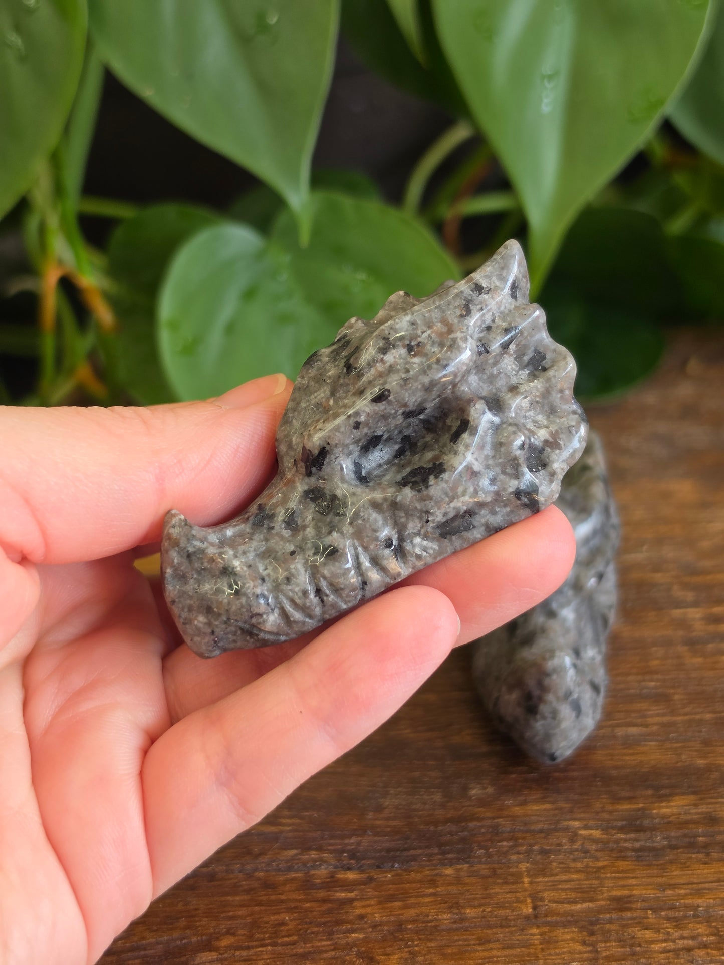 UV Reactive Sodalite Yooperlite Dragon Skull Carving (One Piece)