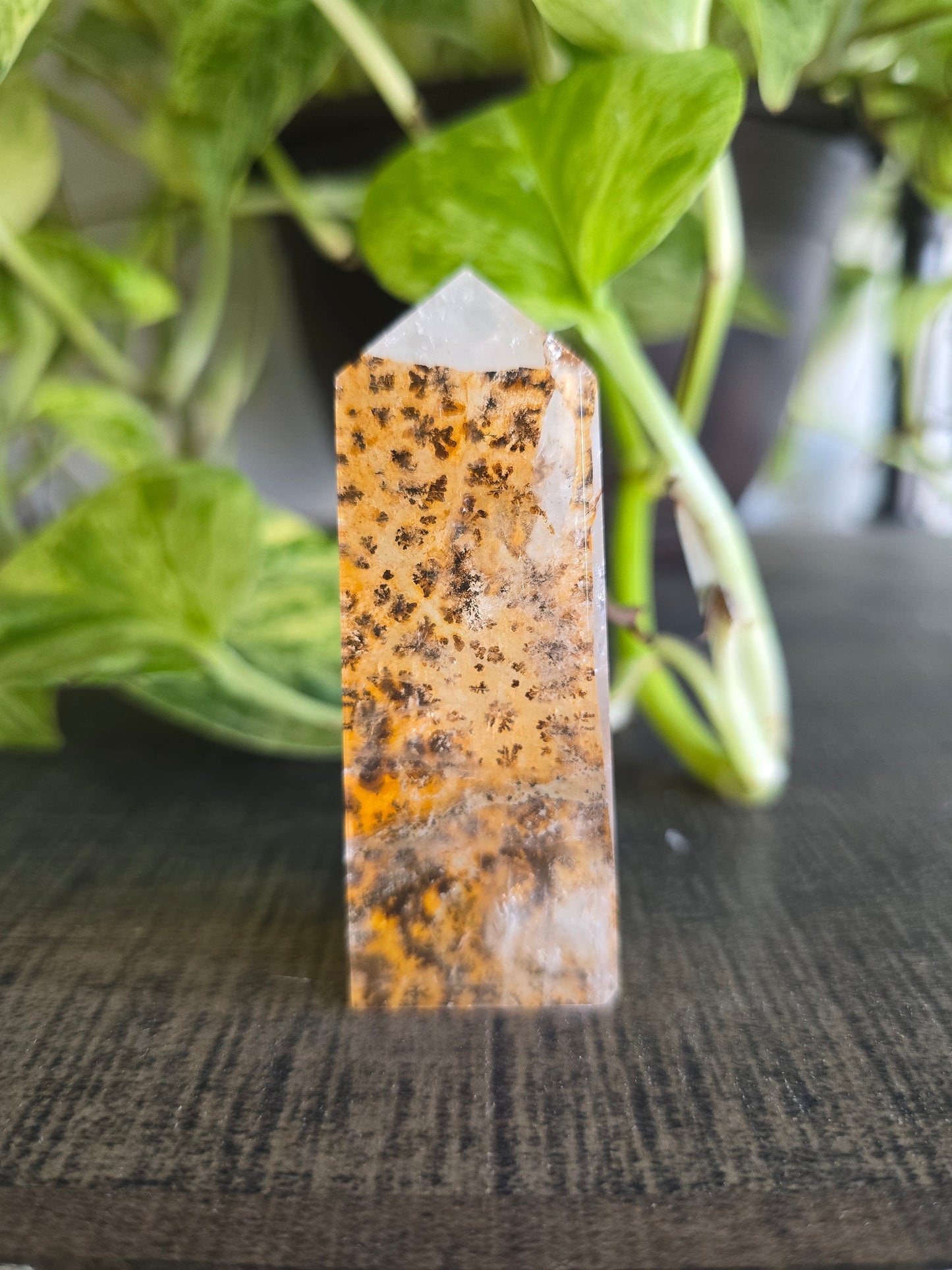 Dendritic Quartz Obelisk