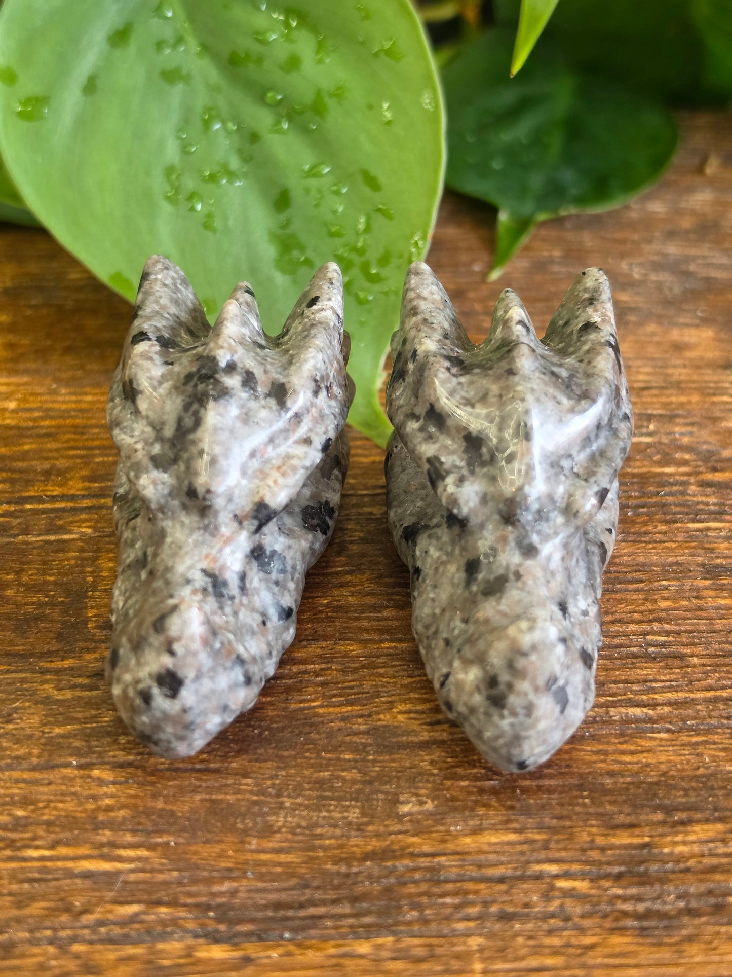 UV Reactive Sodalite Yooperlite Dragon Skull Carving (One Piece)