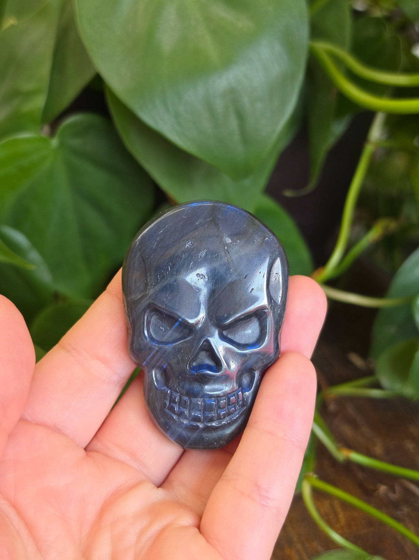 Labradorite Skull Carving "A"