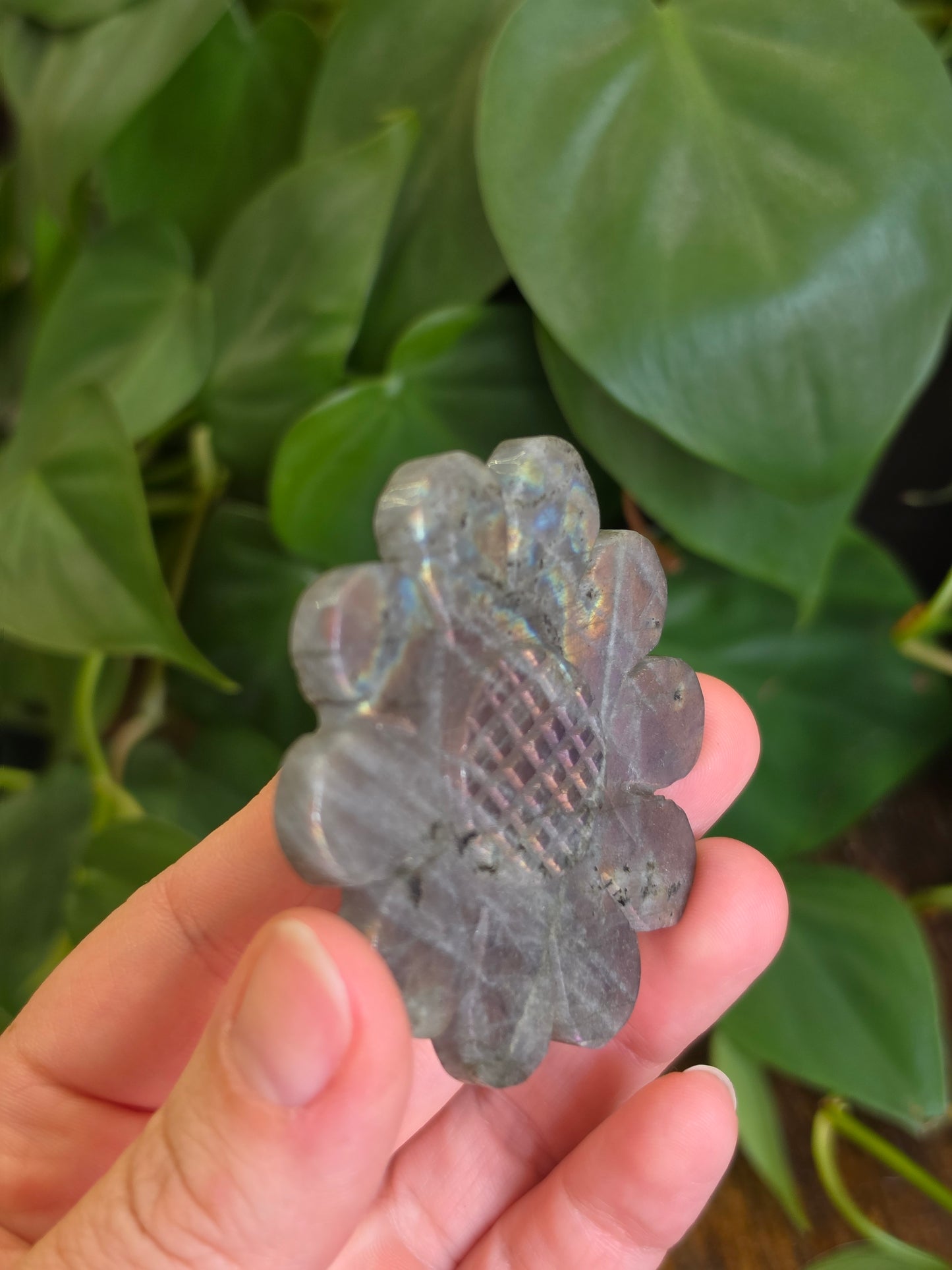Labradorite Sunflower Carving