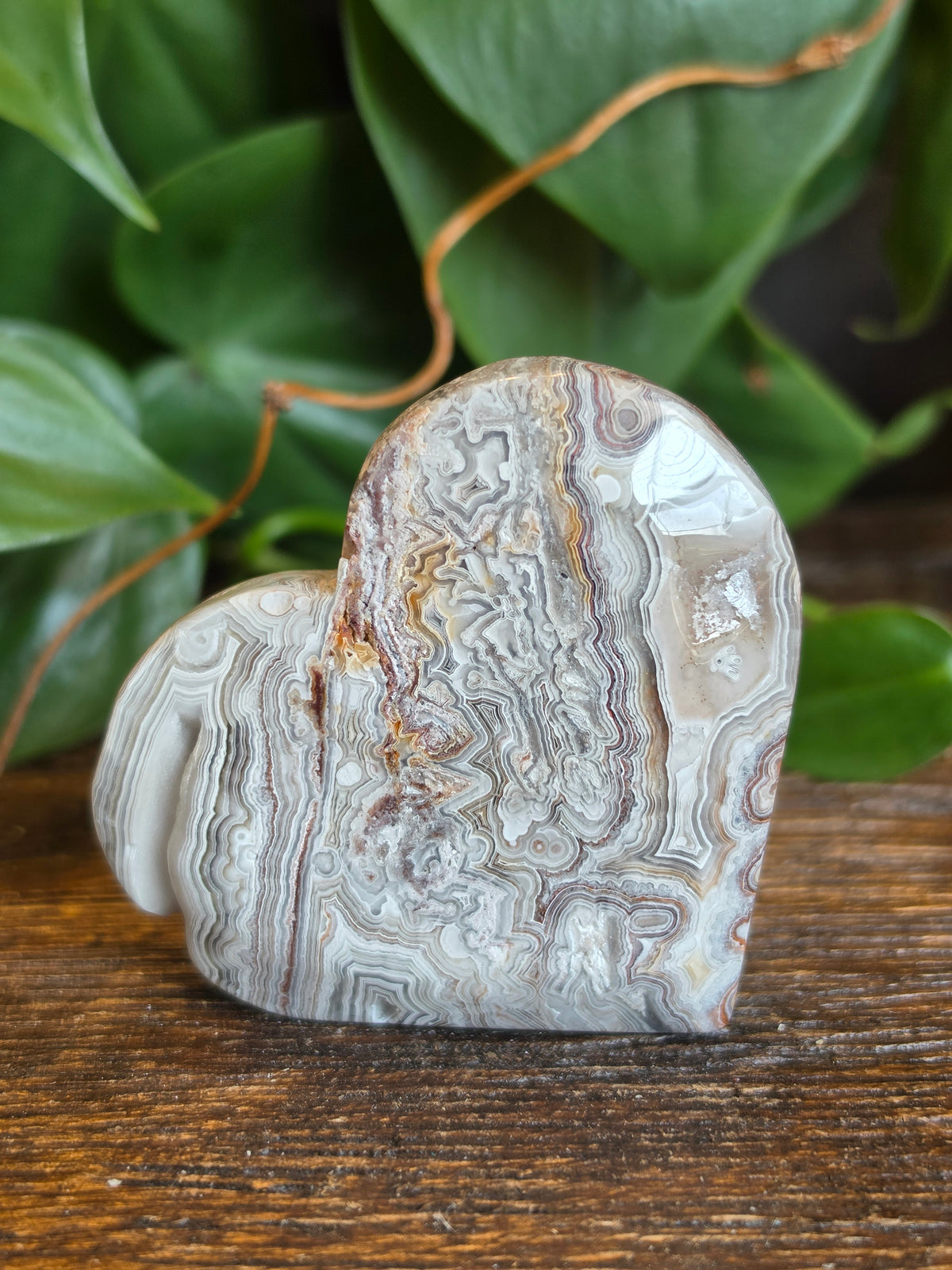 Mexican Crazy Lace Agate Crystal Heart Carving "E"
