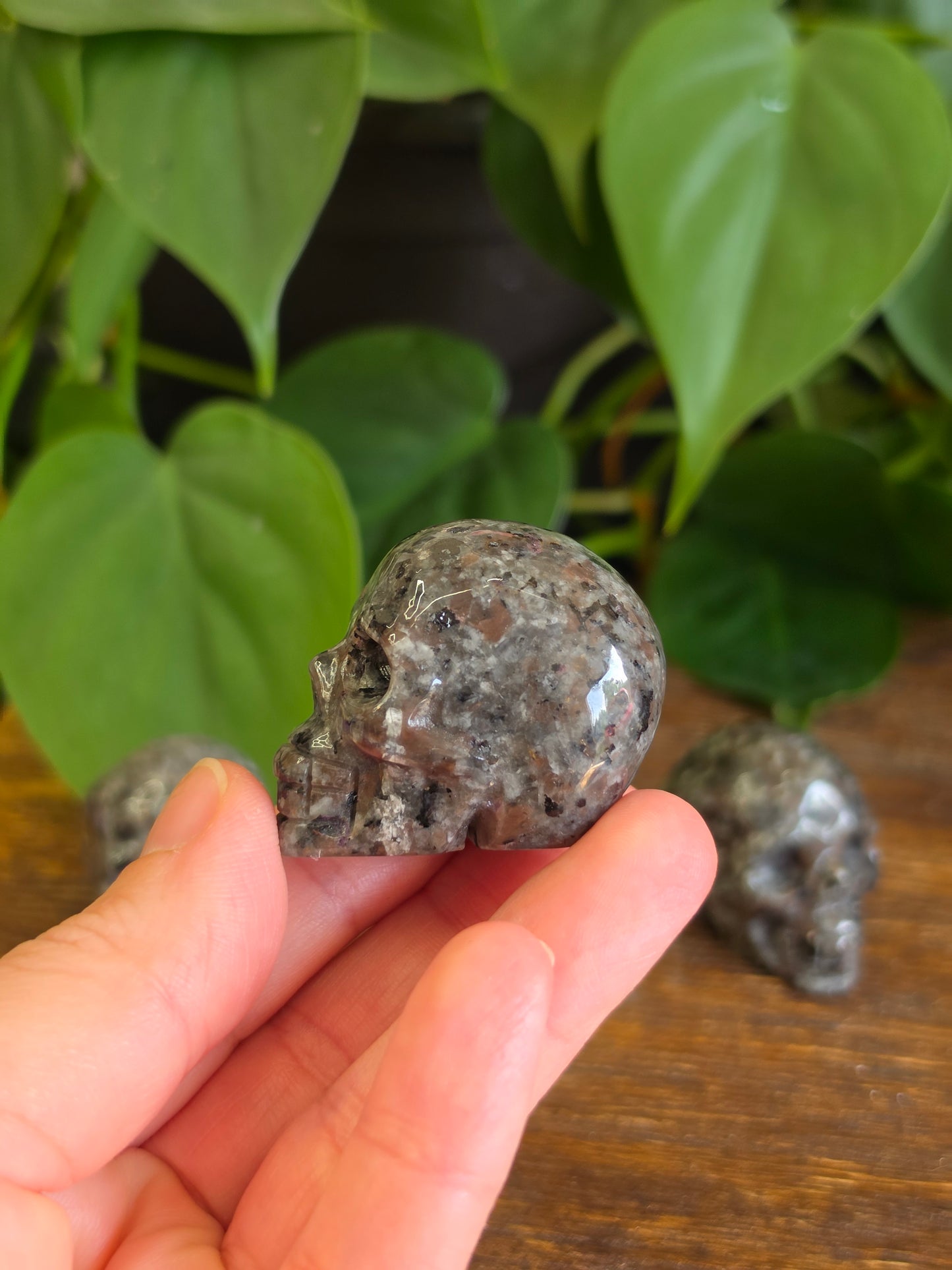 UV Reactive Sodalite Yooperlite Mini Skull Carving (One Piece)