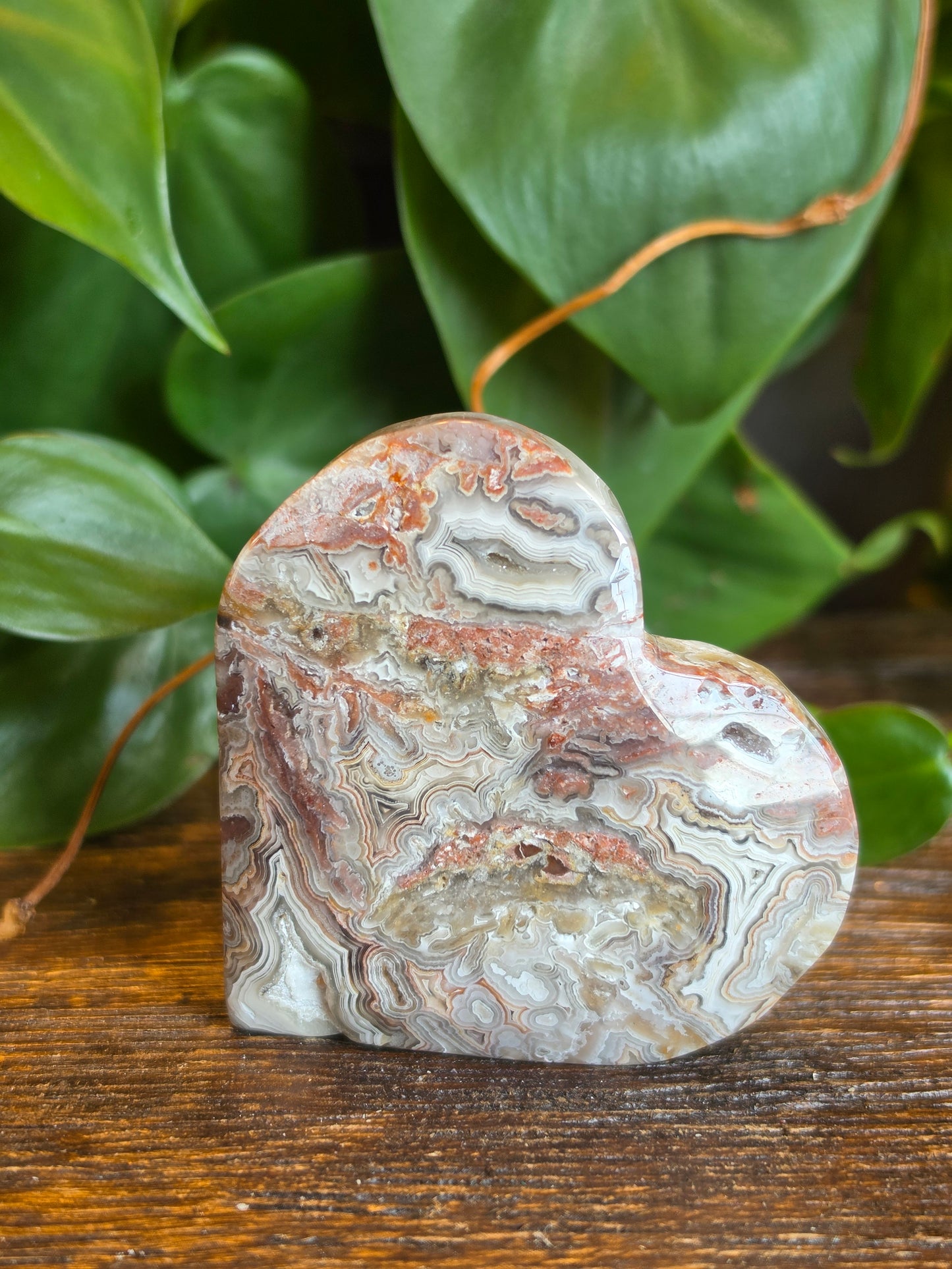 Mexican Crazy Lace Agate Crystal Heart Carving "D"