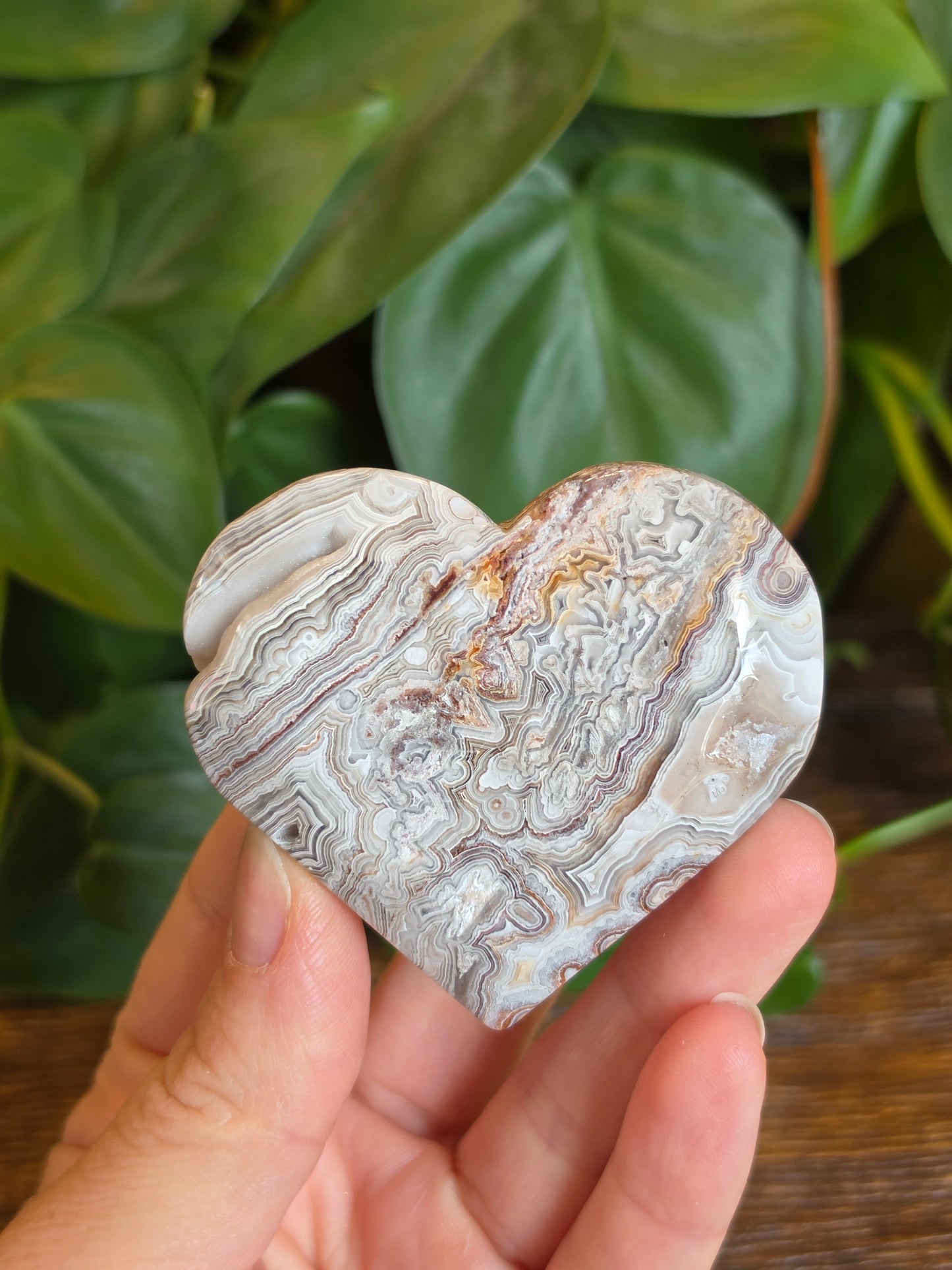 Mexican Crazy Lace Agate Crystal Heart Carving "E"