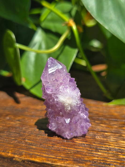 Amethyst Spirit Cactus Quartz Crystal Specimen "A"