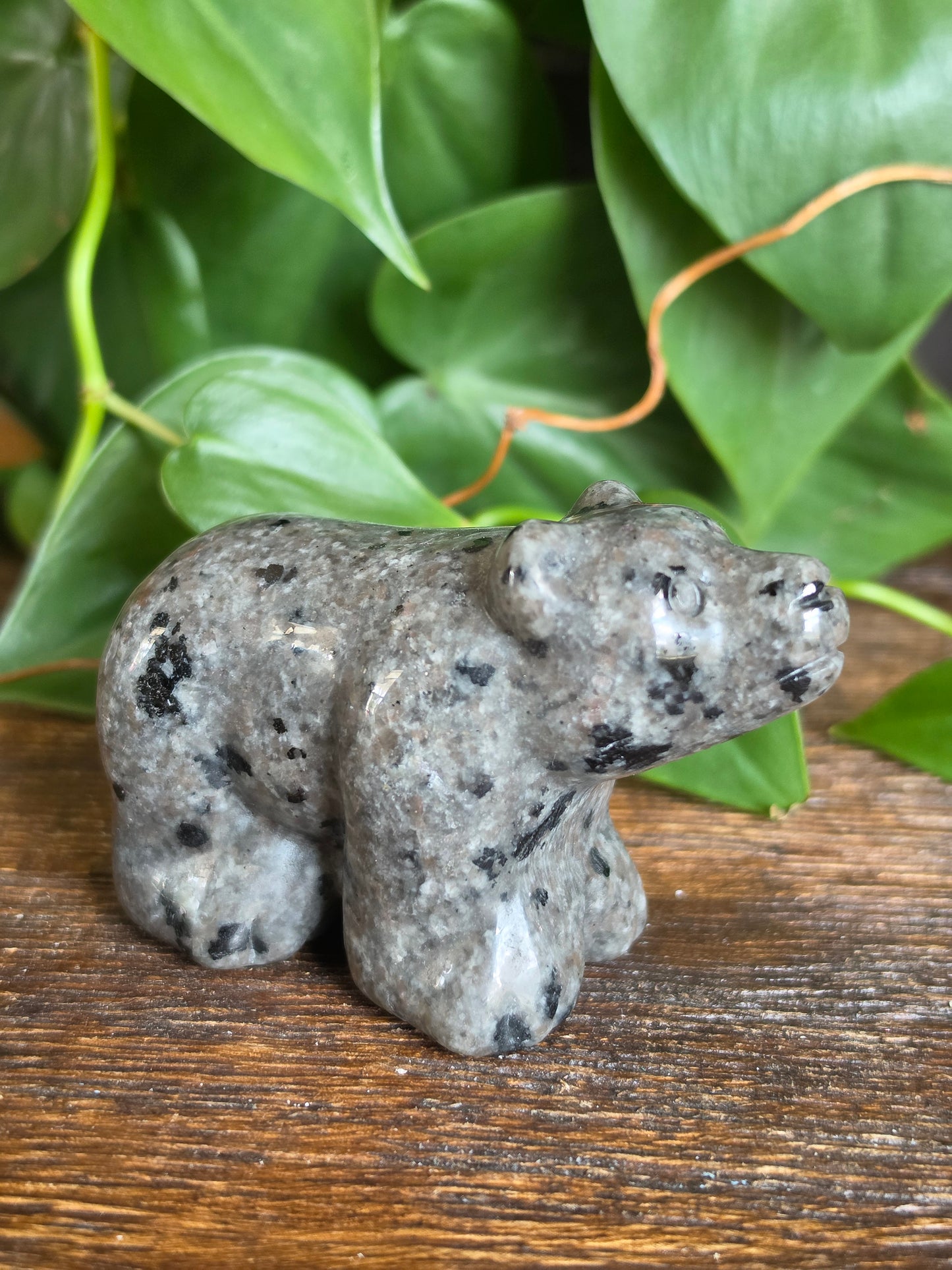 UV Reactive Sodalite (Yooperlite) Crystal Bear Carving