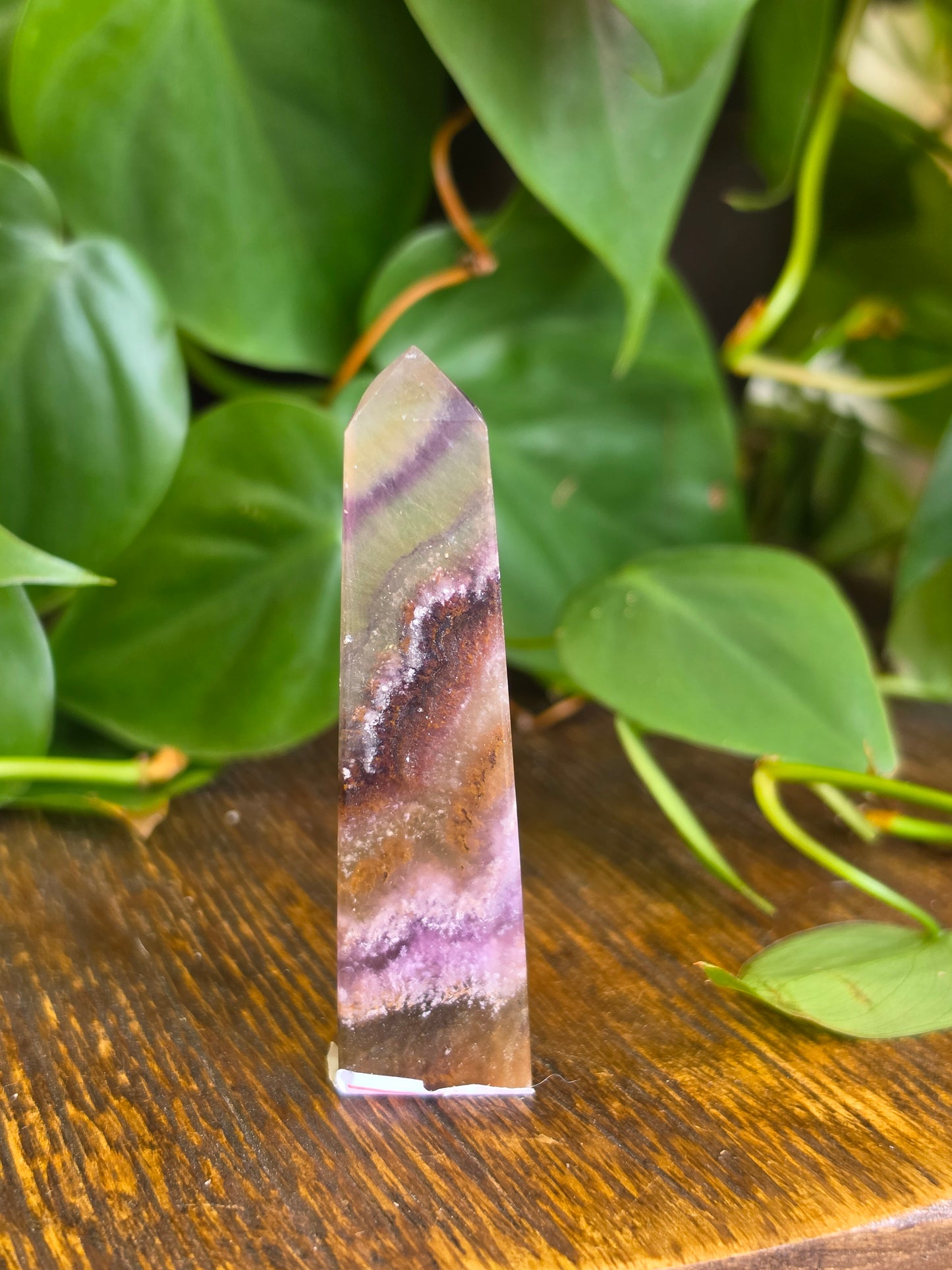 Rainbow Fluorite Mini Point