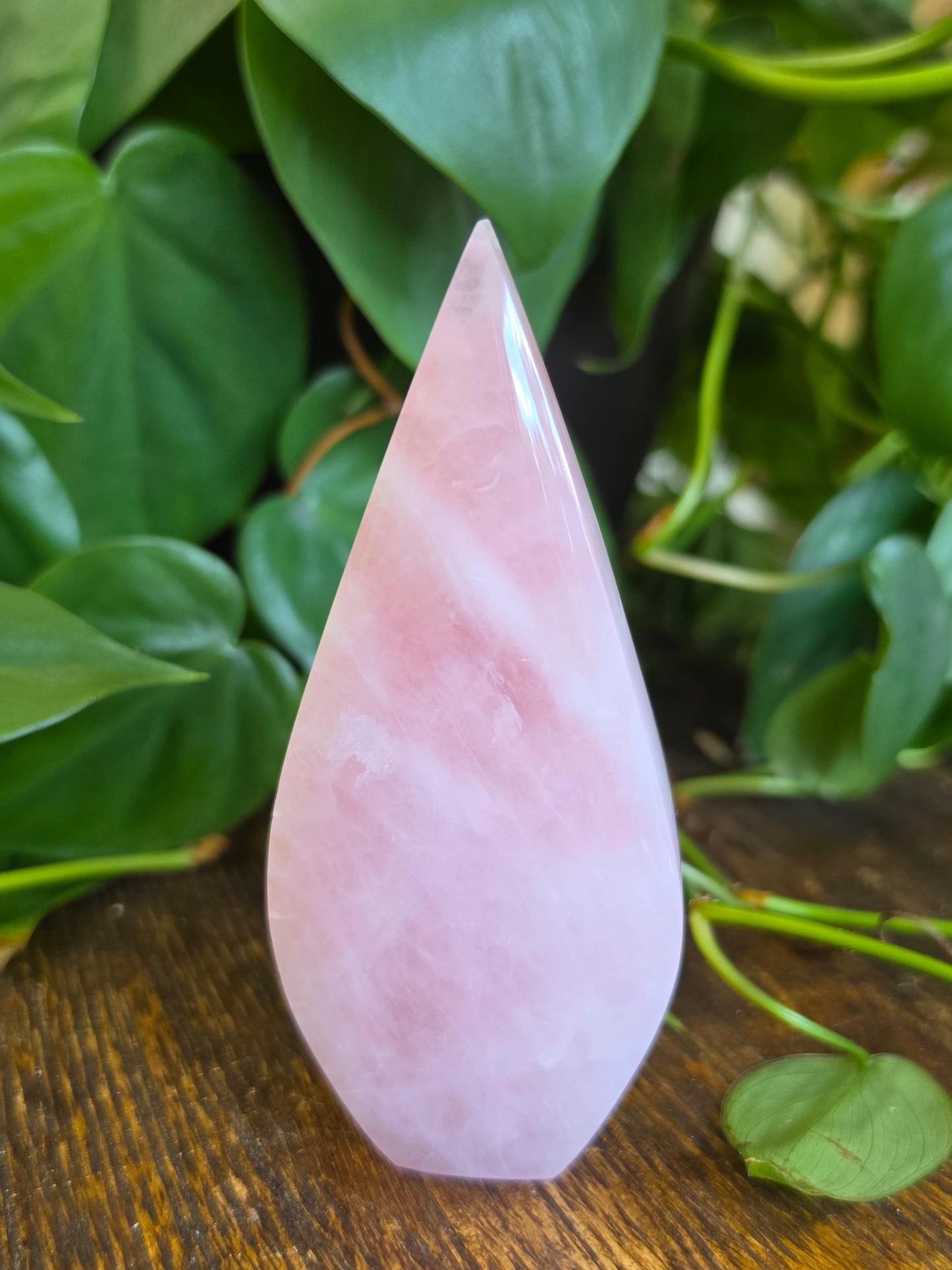Rose Quartz Flipper Carving "C"