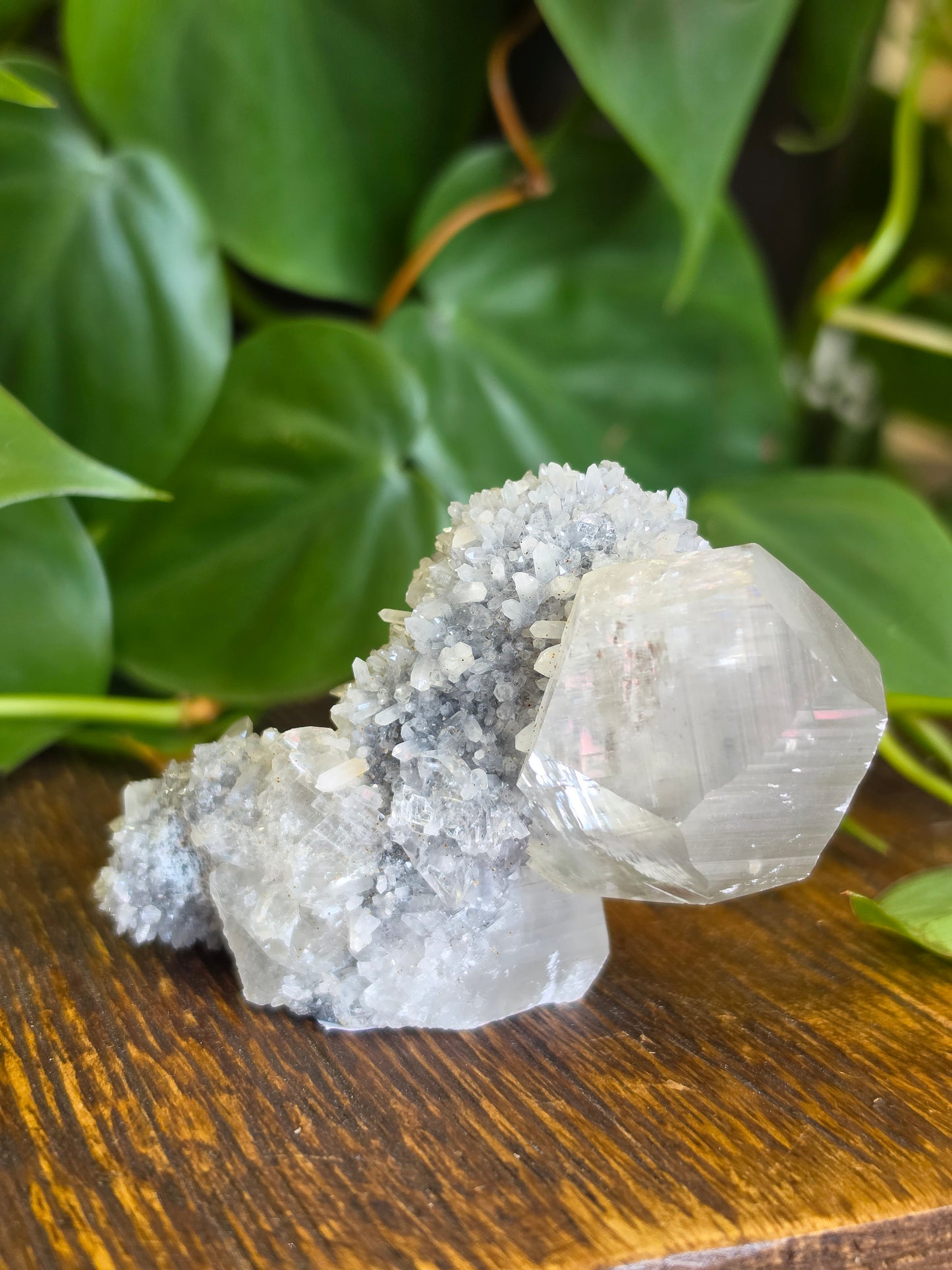 Calcite on Gray Druzy Matrix Specimen